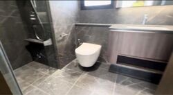 Kopar At Newton (D9), Apartment #498815651